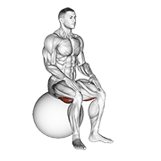 Animación de exercise ball seated hamstring stretch