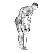 Animación de standing hamstring and calf stretch with strap