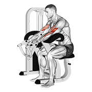 Animación de lever preacher curl v. 2