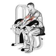 Animación de lever hammer grip preacher curl
