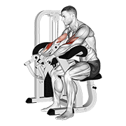 Animación de lever reverse grip preacher curl