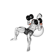 Animación de dumbbell incline hammer press on exercise ball