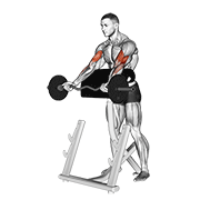 Animación de ez barbell spider curl