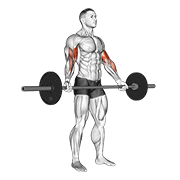 Animación de barbell standing wide grip biceps curl