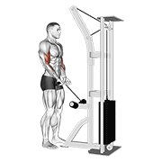 Animación de cable close grip curl