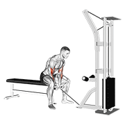 Animación de cable concentration curl
