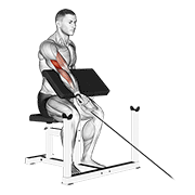 Animación de cable one arm preacher curl