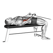 Animación de cable lying bicep curl
