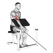 Animación de cable one arm reverse preacher curl