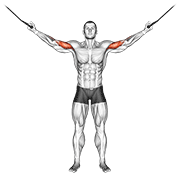 Animación de cable overhead curl