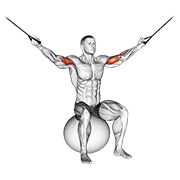 Animación de cable overhead curl on exercise ball