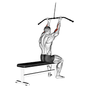Animación de cable pulldown bicep curl