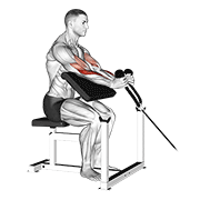 Animación de cable rope hammer preacher curl