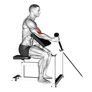 Animación de cable rope one arm hammer preacher curl