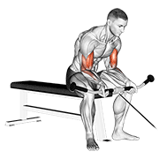 Animación de cable seated curl