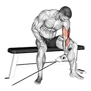 Animación de cable seated one arm concentration curl