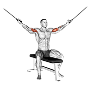 Animación de cable seated overhead curl