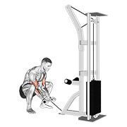 Animación de cable squatting curl