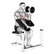 Animación de dumbbell alternate hammer preacher curl