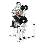 Animación de dumbbell alternate preacher curl
