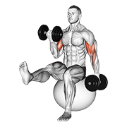 Animación de dumbbell alternating bicep curl with leg raised on exercise ball
