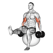 Animación de dumbbell bicep curl on exercise ball with leg raised