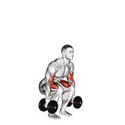 Animación de dumbbell biceps curl squat