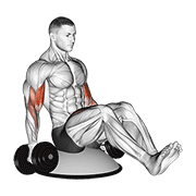 Animación de dumbbell biceps curl v sit on bosu ball