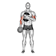 Animación de dumbbell cross body hammer curl v. 2