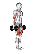 Animación de dumbbell lunge with bicep curl