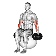 Animación de dumbbell hammer curl on exercise ball