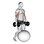 Animación de dumbbell kneeling bicep curl exercise ball