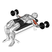 Animación de dumbbell lying wide curl
