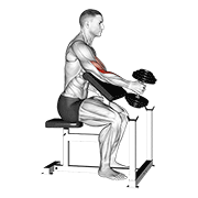 Animación de dumbbell one arm hammer preacher curl