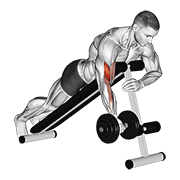 Animación de dumbbell one arm prone curl
