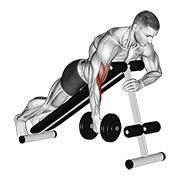 Animación de dumbbell one arm prone hammer curl