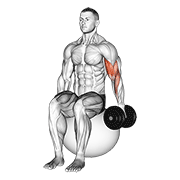 Animación de dumbbell one arm seated bicep curl on exercise ball