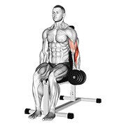 Animación de dumbbell one arm seated hammer curl