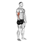 Animación de dumbbell one arm standing curl