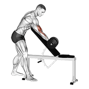 Animación de dumbbell one arm zottman preacher curl
