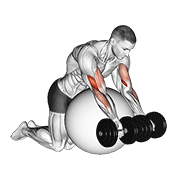 Animación de dumbbell preacher curl over exercise ball