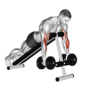 Animación de dumbbell prone incline hammer curl
