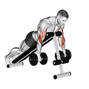 Animación de dumbbell reverse spider curl