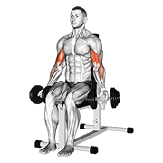 Animación de dumbbell seated bicep curl
