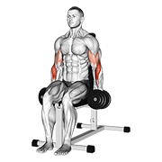 Animación de dumbbell seated hammer curl