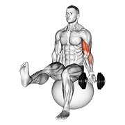 Animación de dumbbell seated one arm bicep curl on exercise ball with leg raised