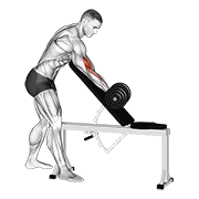 Animación de dumbbell standing one arm curl over incline bench