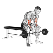 Animación de ez bar seated close grip concentration curl