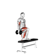 Animación de dumbbell step up single leg balance with bicep curl