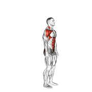 Animación de posterior step to overhead reach
